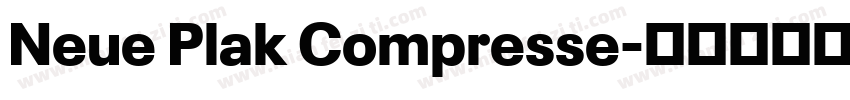 Neue Plak Compresse字体转换